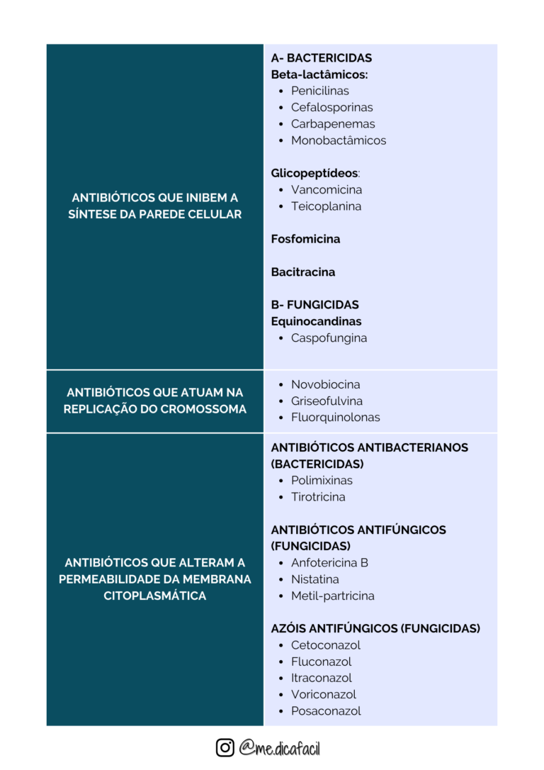 Combo Mapas Mentais Antibi Ticos E Guia Pr Tico Me Dica F Cil